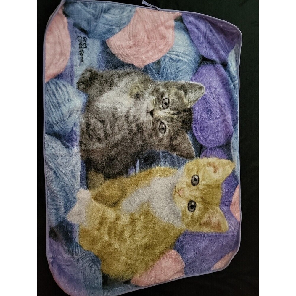 Cat Blanket The Northwest Company Fleece Throw Blanket Cats Animal Love 46x62